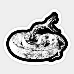 Snake Sticker